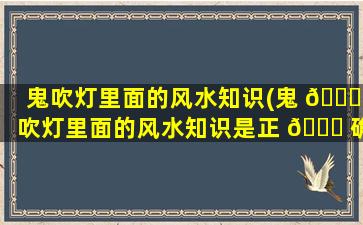 鬼吹灯里面的风水知识(鬼 🐋 吹灯里面的风水知识是正 🐒 确的吗)